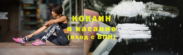 сатива Наволоки