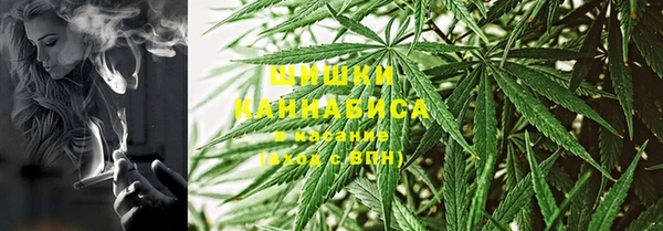 сатива Наволоки