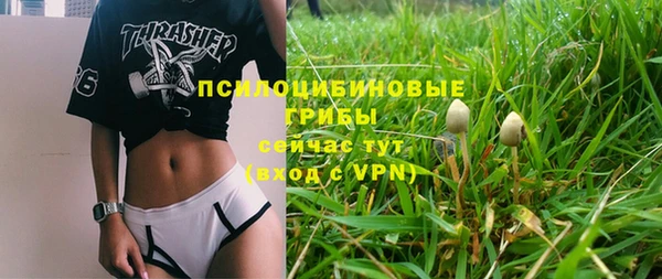 ПСИЛОЦИБИНОВЫЕ ГРИБЫ Надым