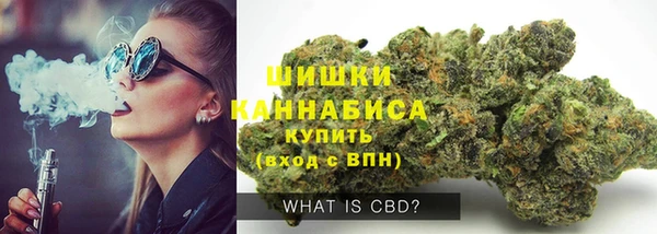 ПСИЛОЦИБИНОВЫЕ ГРИБЫ Надым