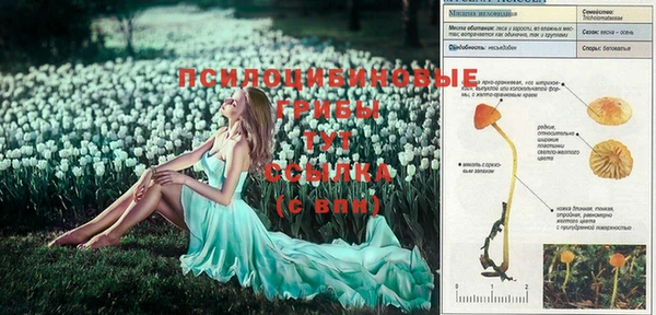 каннабис Навашино
