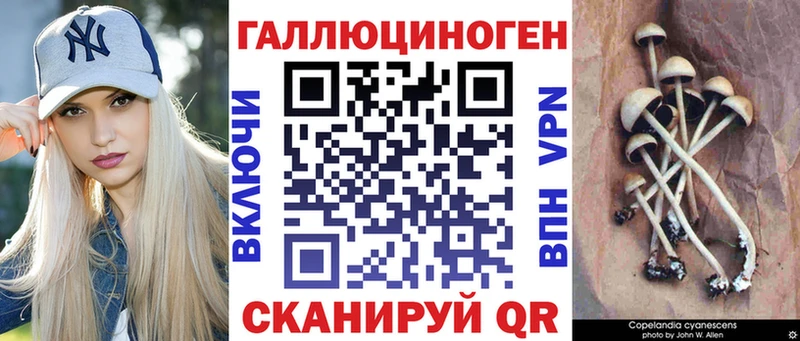 Псилоцибиновые грибы Magic Shrooms Воронеж