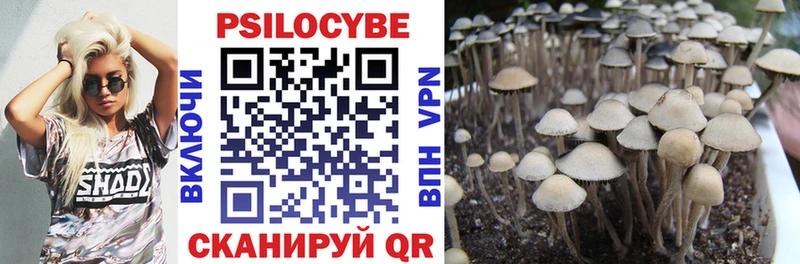 дарнет шоп  МЕГА ссылка  Галлюциногенные грибы Psilocybe  Воронеж 