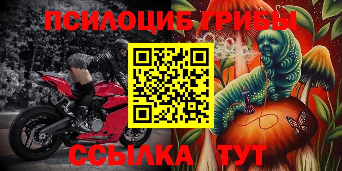 Псилоцибиновые грибы ЛСД  Воронеж 