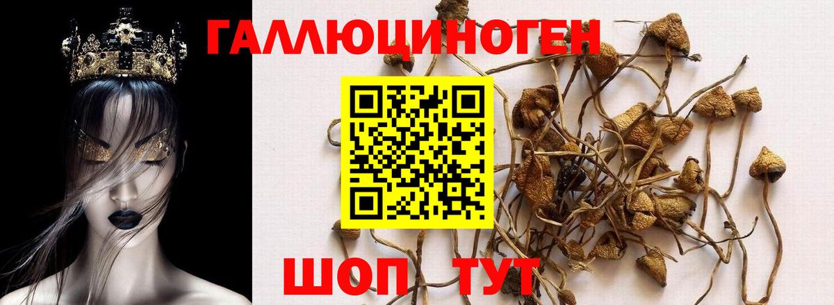 Галлюциногенные грибы прущие грибы Воронеж