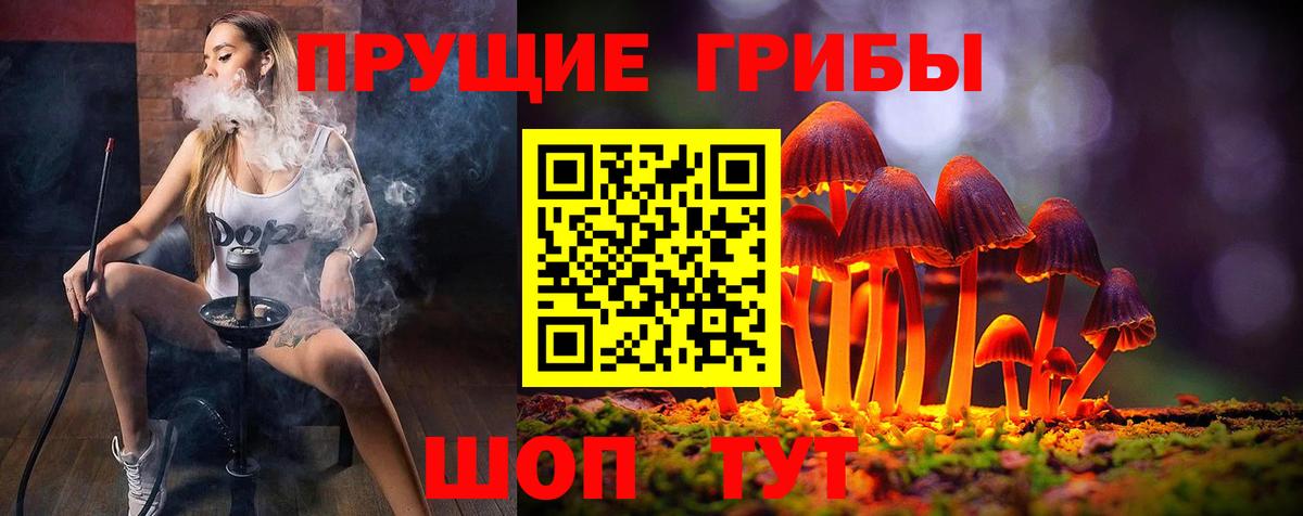 Галлюциногенные грибы GOLDEN TEACHER  Псилоцибиновые грибы GOLDEN TEACHER  Воронеж  Вход с VPN 